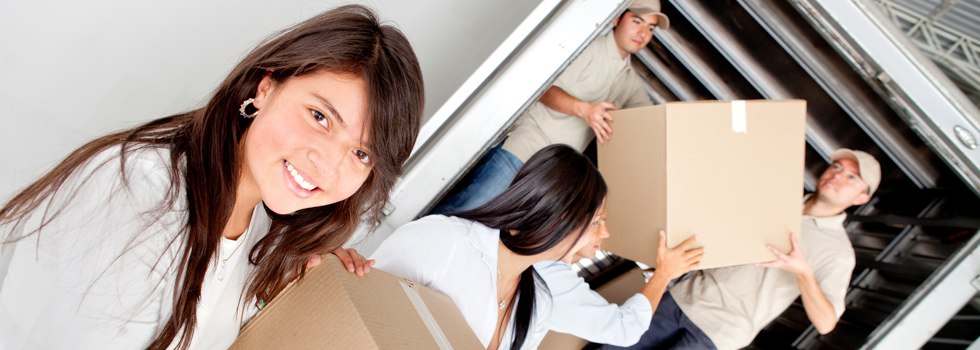 Professional Removalists Cartwrights Hill